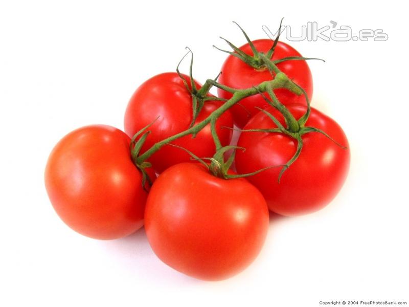 Tomate: pur, concentrado, orgnico, IQF
