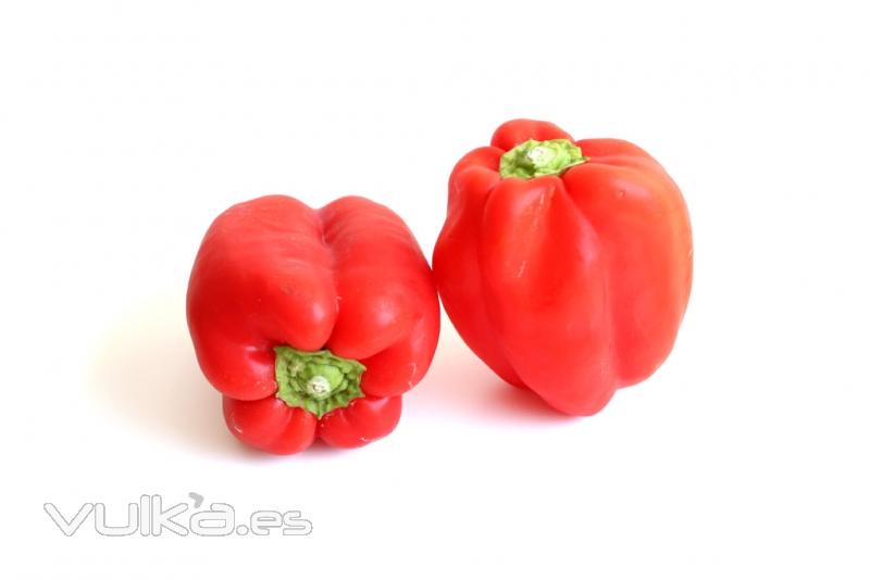 Pimiento (rojo, verde y amarillo): pur, IQF, orgnico, asada, concentrado