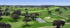 Club de golf