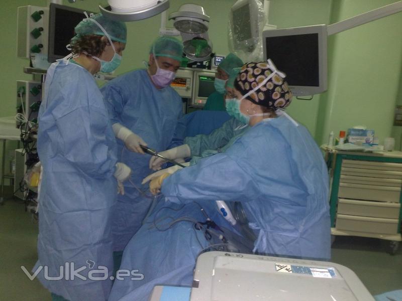 extracción de riñon mediante laparoscopia para trasplante de donante vivo