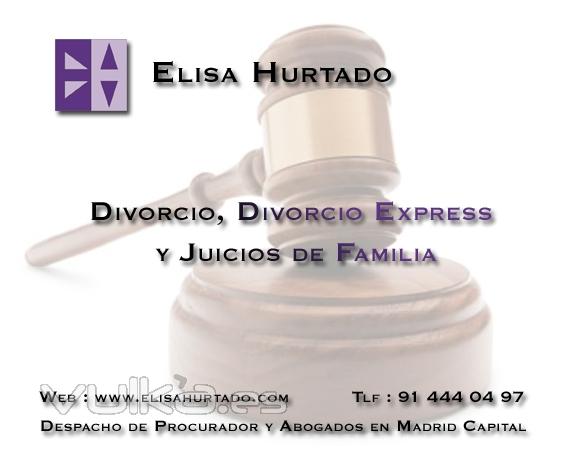 Elisa Hurtado divorcio, divorcio express, juicios familia