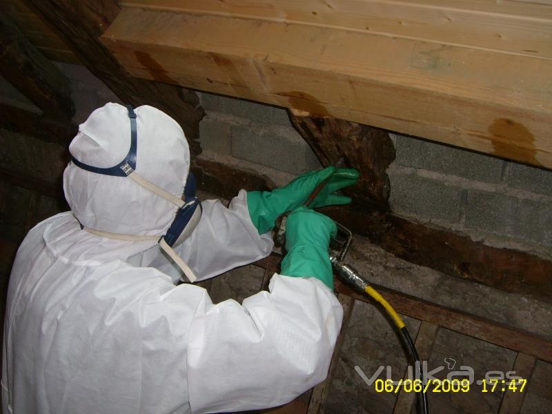 Saneamiento y proteccin de la madera, contra termitas, carcomas, hongos de pudricin etc. Edificios