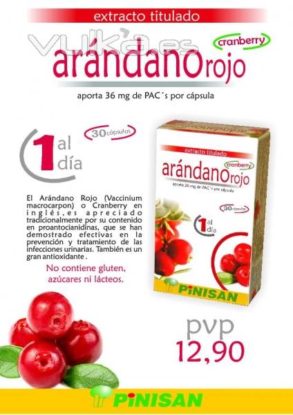 Arándano