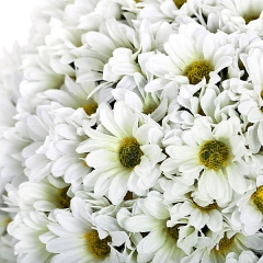 Bola flores margaritas artificiales blancas 14 en lallimonacom detalle1
