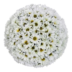 Bola flores margaritas artificiales blancas 1 en lallimona.com