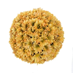 Bola flores margaritas artificiales naranjas 14 en lallimonacom
