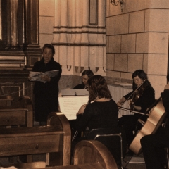 Actuaciones musicales  roseaux - foto 19