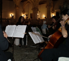 Foto 118 músicos en Madrid - Actuaciones Musicales  Roseaux
