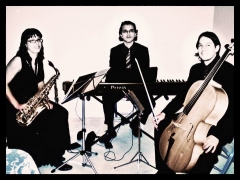 Actuaciones musicales  roseaux - foto 3