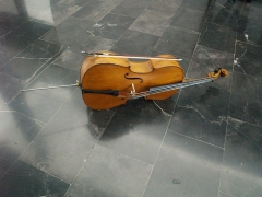 Actuaciones musicales  roseaux - foto 24