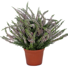 Planta artificial flores erica maceta 35 en lallimonacom