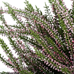 Planta artificial flores erica maceta 35 en lallimonacom detalle2