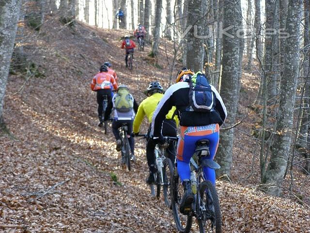 Rutas de BTT por  los Hayedos Mgicos de los Parques de la Naturaleza y las 5 Villas Medievales.