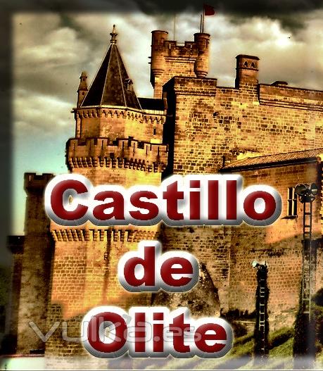 El Castilo de Olite es el lugar tursitco ms visitado de Navarra Naturalmente.