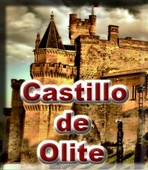 El Castilo de Olite es el lugar turísitco más visitado de Navarra Naturalmente.