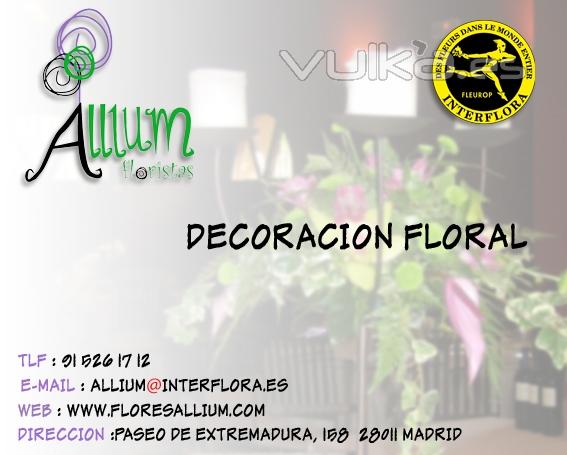 Allium Floristeria Decoracion Floral