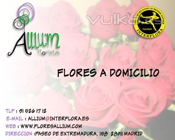 Floristeria Allium Flores a Domicilio