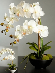 Orquideas artificiales de calidad. orquidea butterfly artificial en maceta oasisdecor.com