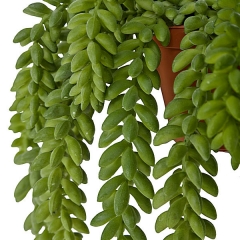 Planta artificial colgante sedum en lallimona.com detalle2