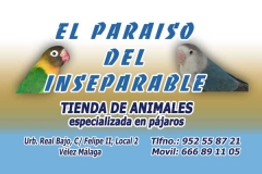 Foto 314 pájaros - El Paraiso del Inseparable