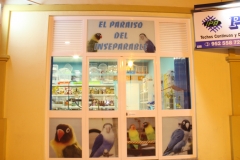 El Paraiso del Inseparable