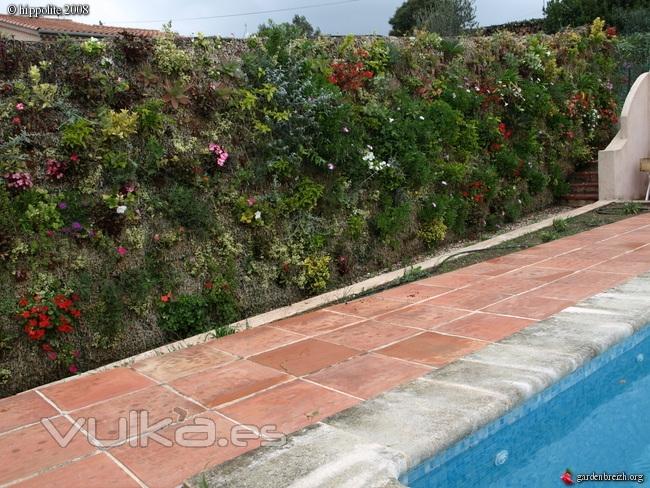 Muro vegetal - Belleza e insonorizacin con poco mantenimiento