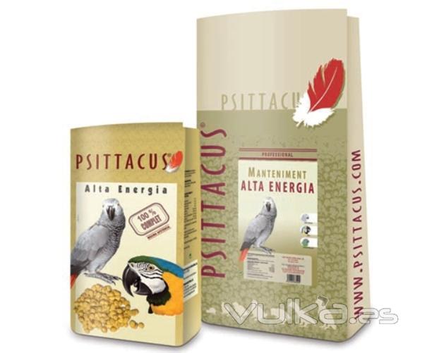 Pienso Psittacus alta energia 10kg centralmaskota