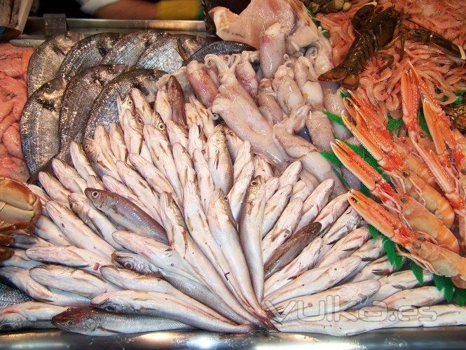 Gran variedad de pescados y mariscos selectos