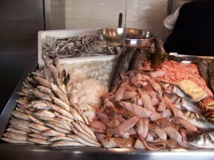 Gran variedad de pescados y mariscos selectos