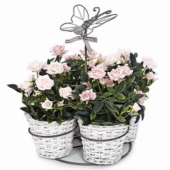 Conjunto mimbre blanco mariposa 4 macetas en lallimonacom detalle1