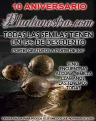 Grow Shop Madrid - OFERTA SEMILLAS