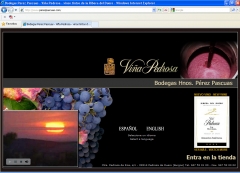 Web coorporativa con gestor de noticias y tienda online wwwperezpascuascom