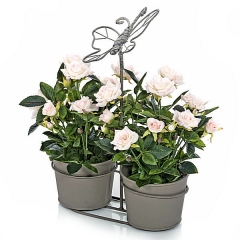 Conjunto metal terra mariposa 2 macetas 30 en lallimonacom detalle1