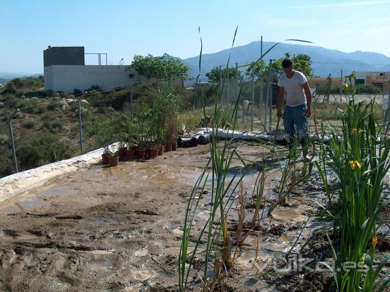 Segunda instalación de evapotranspiración realizada en España por nuestra empresa, en Almería.