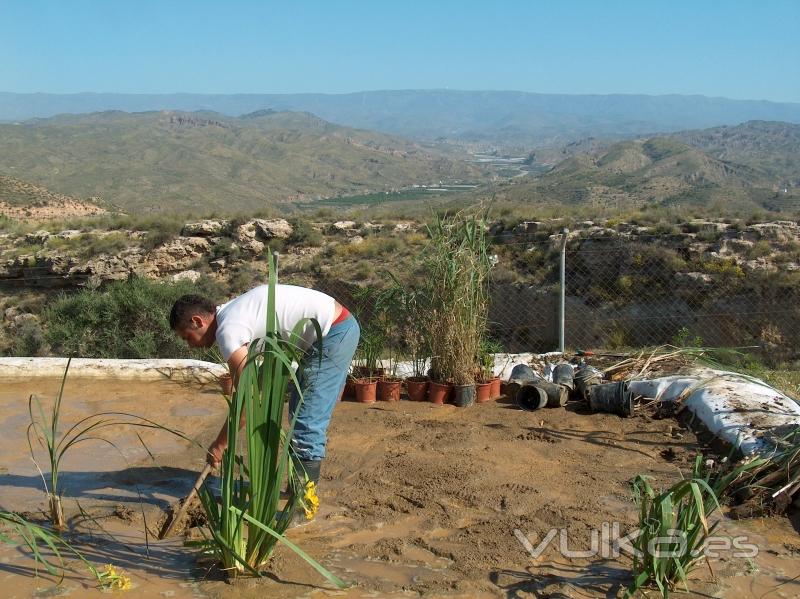 Segunda instalacin de evapotranspiracin realizada en Espaa por nuestra empresa, en Almera.