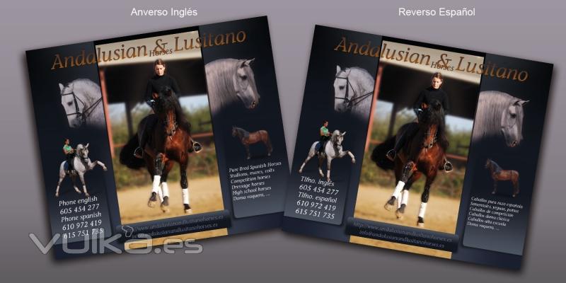 Flyer para Andalusian & Lusitano con motivo del SICAB 2011