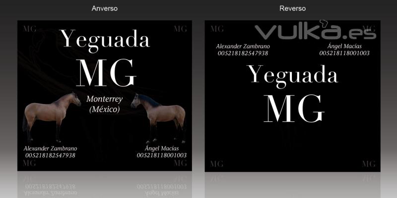 Flyer para Yeguada MG Montevideo (Mxico)