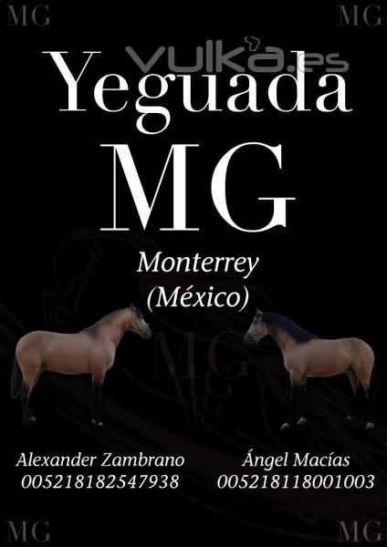 Cartel para Yeguada MG Montevideo (Mxico)