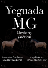 Cartel para Yeguada MG Montevideo (Mxico)