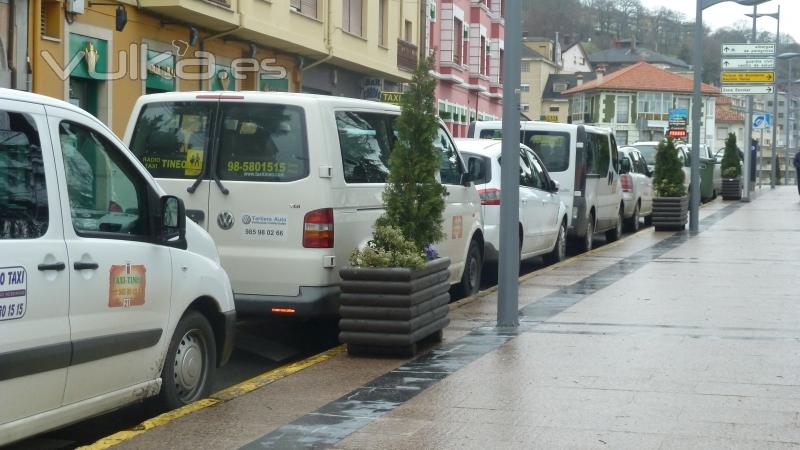 Parada de Taxis Avenida Conde de Campomanes Tineo