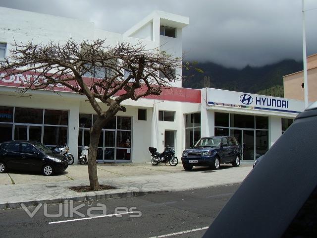 HONDA LOS LLANOS S.L.