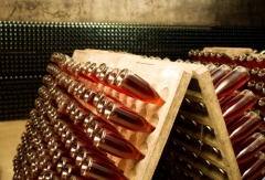 Botellas en pupitre