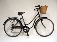 Bicicleta birmingham de imacycles