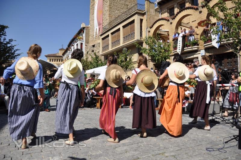 baile vendimiadoras en fiesta vendimia Olite