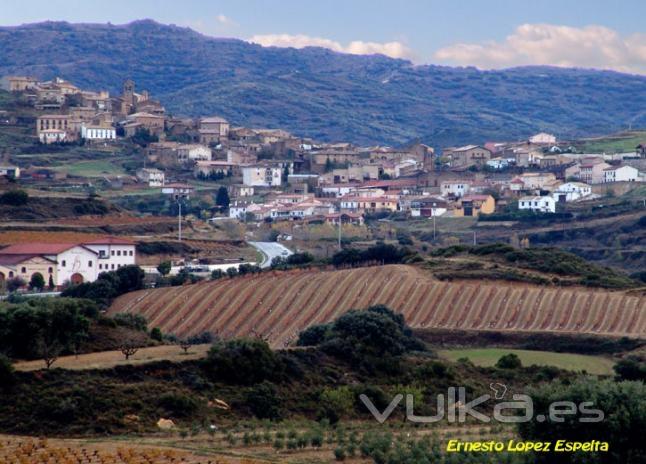 San Martin de Unx y sus viedos