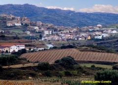 San martin de unx y sus vinedos