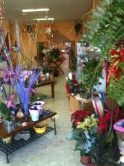 Floristeria piruleta - foto 20