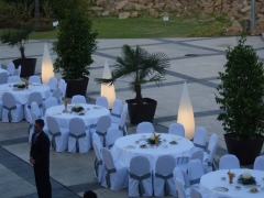 Vertice bodas