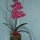 Decoracion Floral con Orquideas en Jarron por Allium Floristas