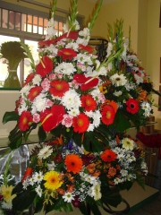 Floristeria la camelia (santa cruz de tenerife) - foto 12